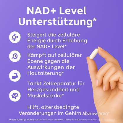 NAD+ Supplement