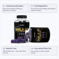 Arete Pure Shilajit Gummies