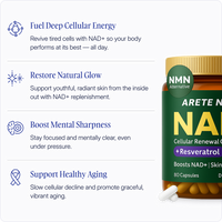 Liposomal NAD+ Nicotinamide Riboside